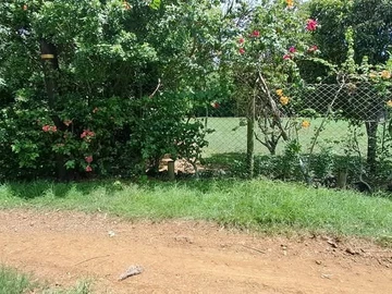 Residential Land