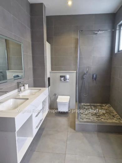 Penthouse For Rent