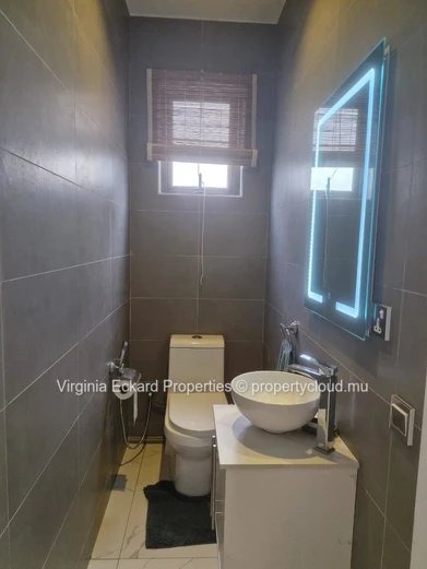 Penthouse For Rent