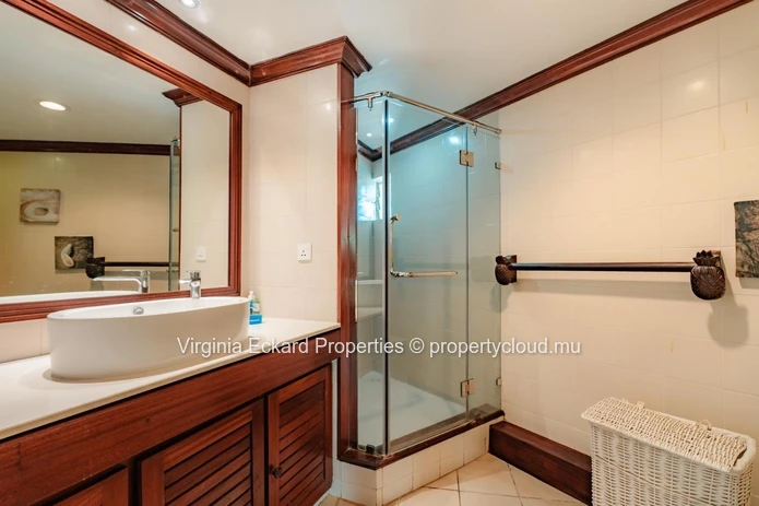 Penthouse For Rent